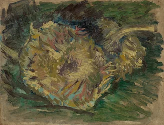 Sonnenblumen, die Samen tragen